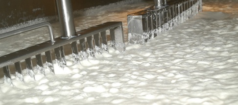 Formaggio, industria casearia, caseificio, latte Formaggio, industria casearia, caseificio, latte